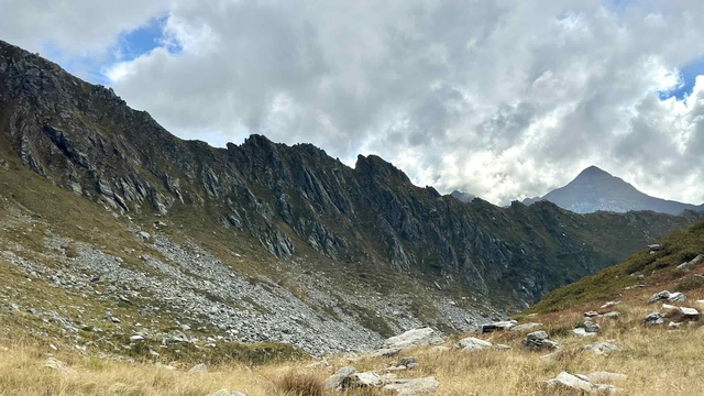 Azzaredo - 39